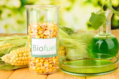 Braemar biofuel availability